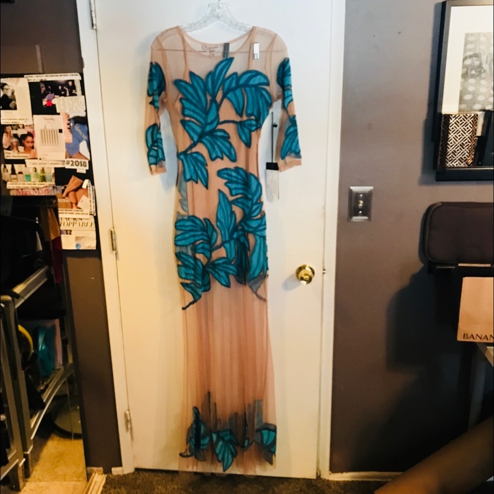 For Love and Lemons x Nasty Gal Sheer Summer Dress